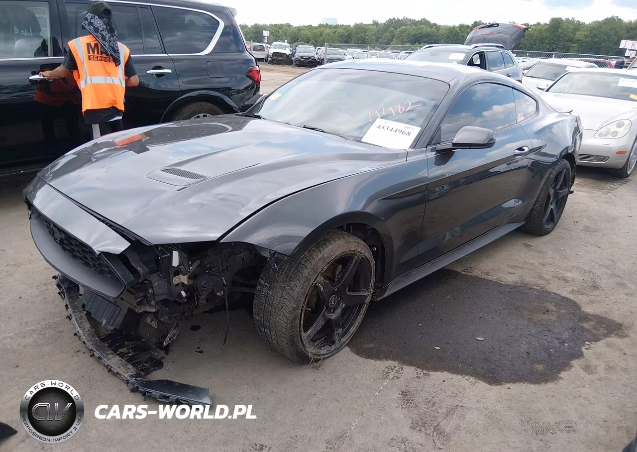2019 Ford Mustang Ecoboost VIN:1FA6P8TH5K5191982 - 2