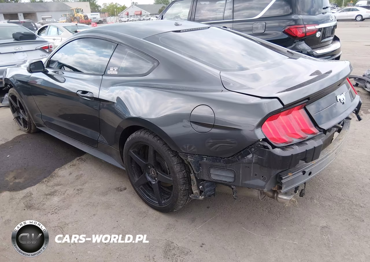 2019 Ford Mustang Ecoboost VIN:1FA6P8TH5K5191982 - 3