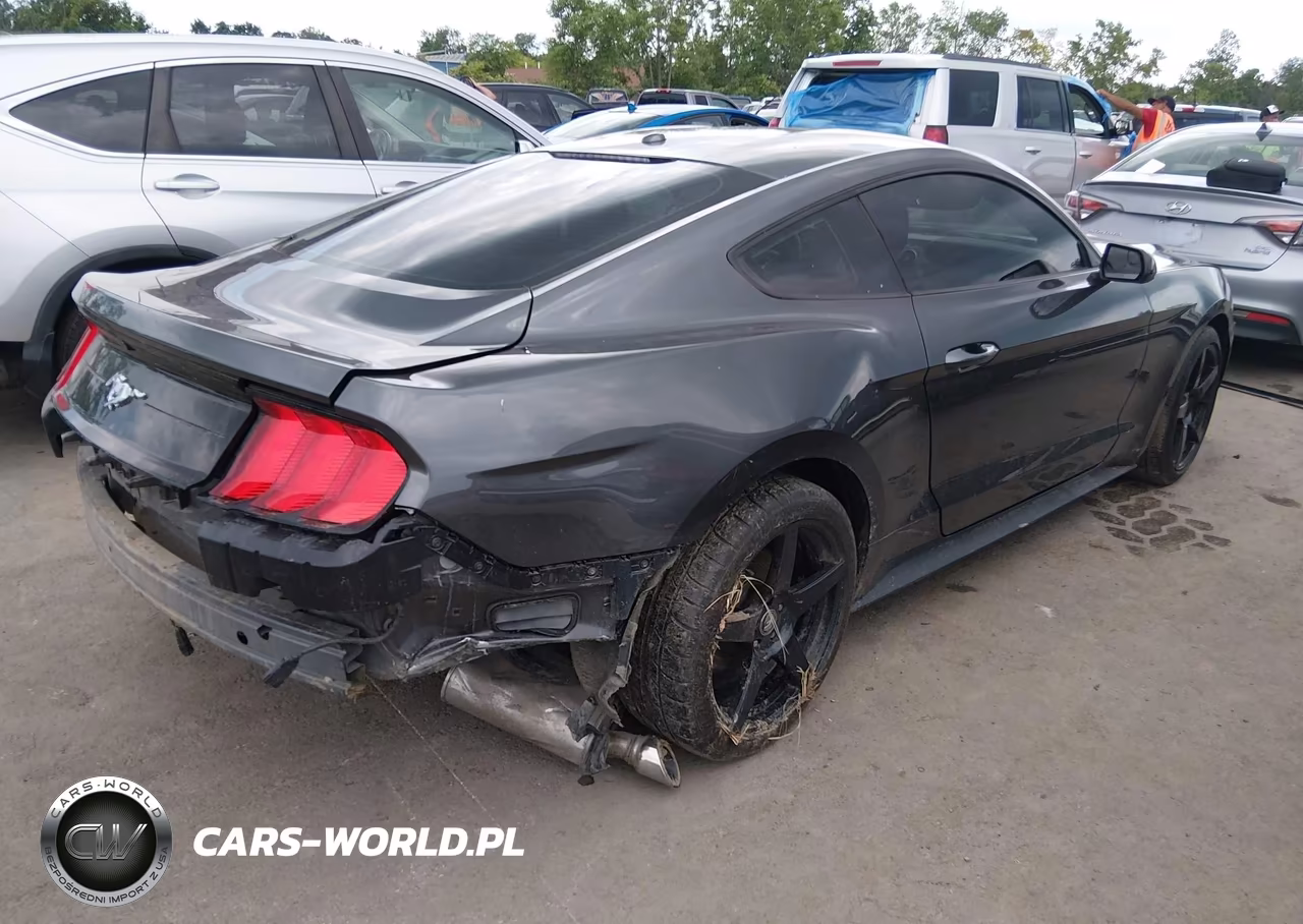 2019 Ford Mustang Ecoboost VIN:1FA6P8TH5K5191982 - 4