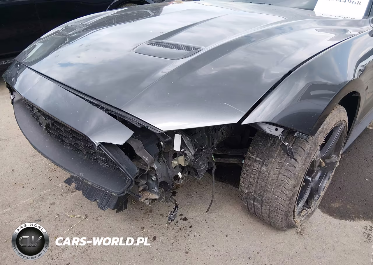 2019 Ford Mustang Ecoboost VIN:1FA6P8TH5K5191982 - 6