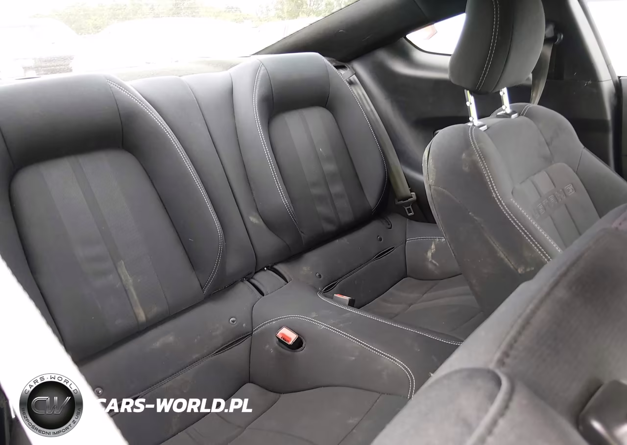 2019 Ford Mustang Ecoboost VIN:1FA6P8TH5K5191982 - 8