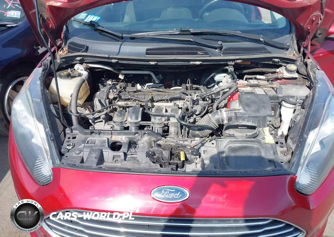 2014 Ford Fiesta Se VIN:3FADP4BJ9EM223450 - 10