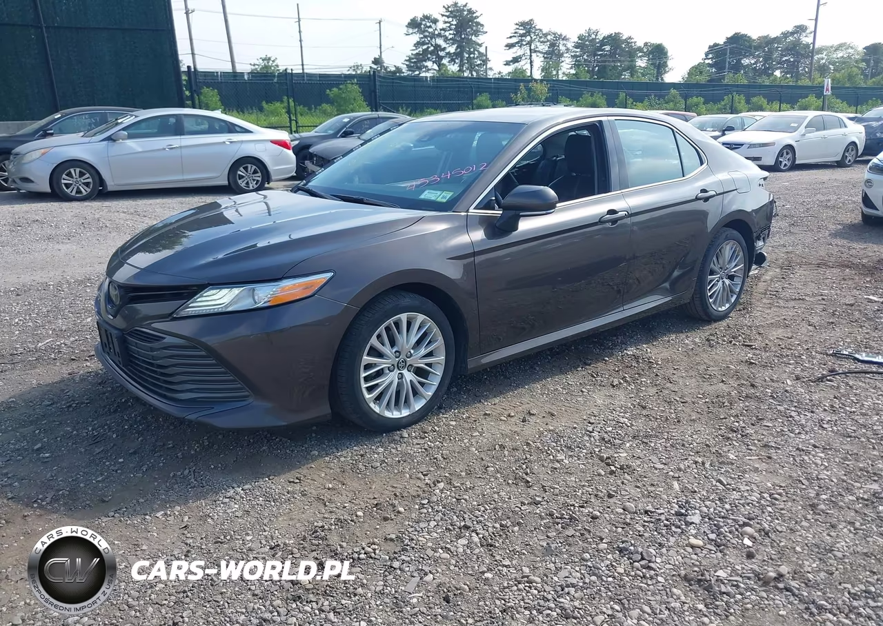 2019 Toyota Camry Xle VIN:4T1B11HK1KU725759 - 2