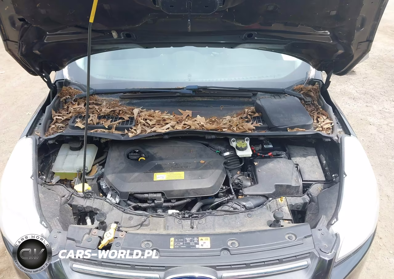 2014 Ford Escape Se VIN:1FMCU0GX7EUD16284 - 10