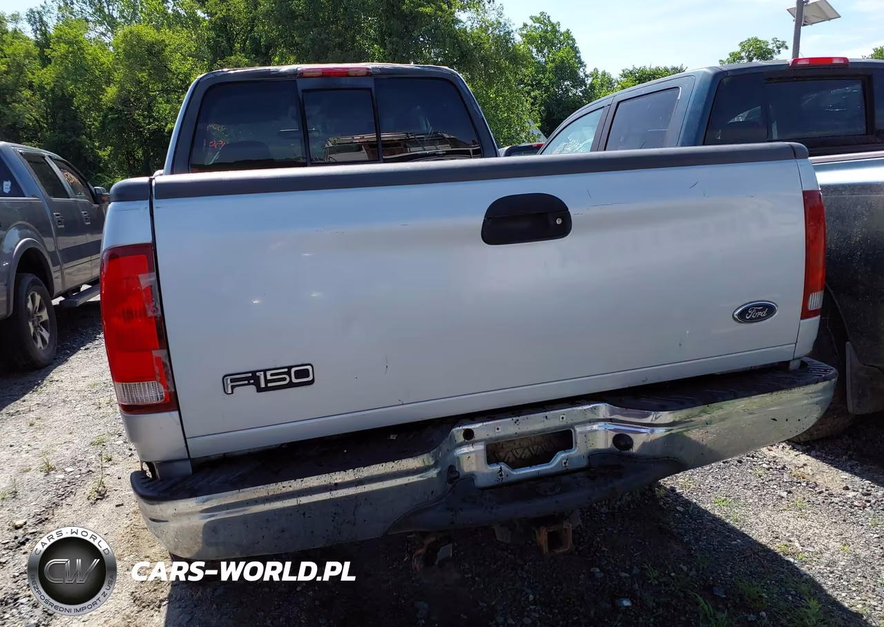 2003 Ford F-150 Lariat-Xl-Xlt VIN:1FTRX18LX3NB46971 - 13