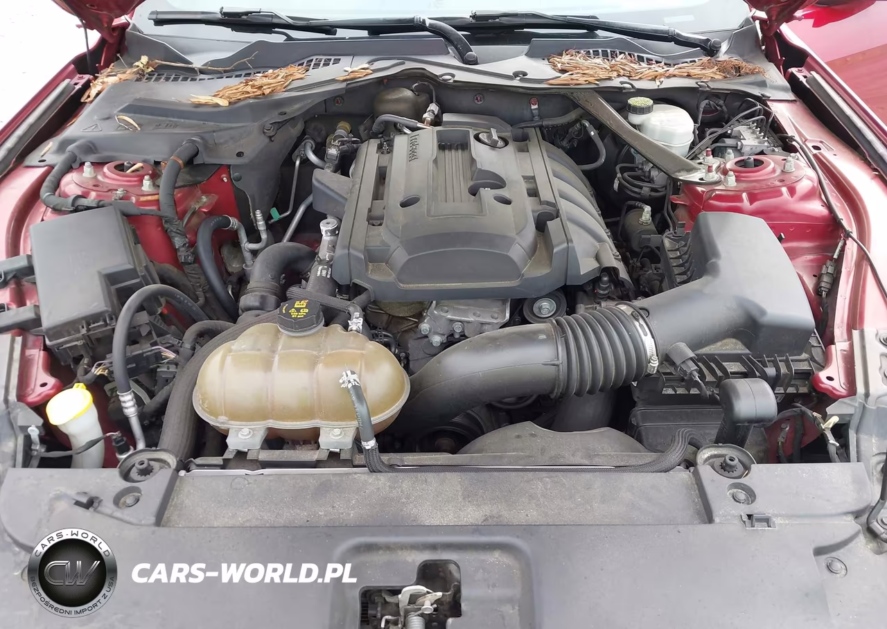 2015 Ford Mustang Ecoboost VIN:1FA6P8TH6F5341183 - 10