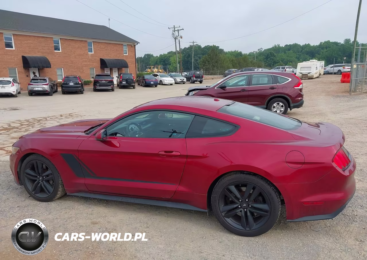 2015 Ford Mustang Ecoboost VIN:1FA6P8TH6F5341183 - 14