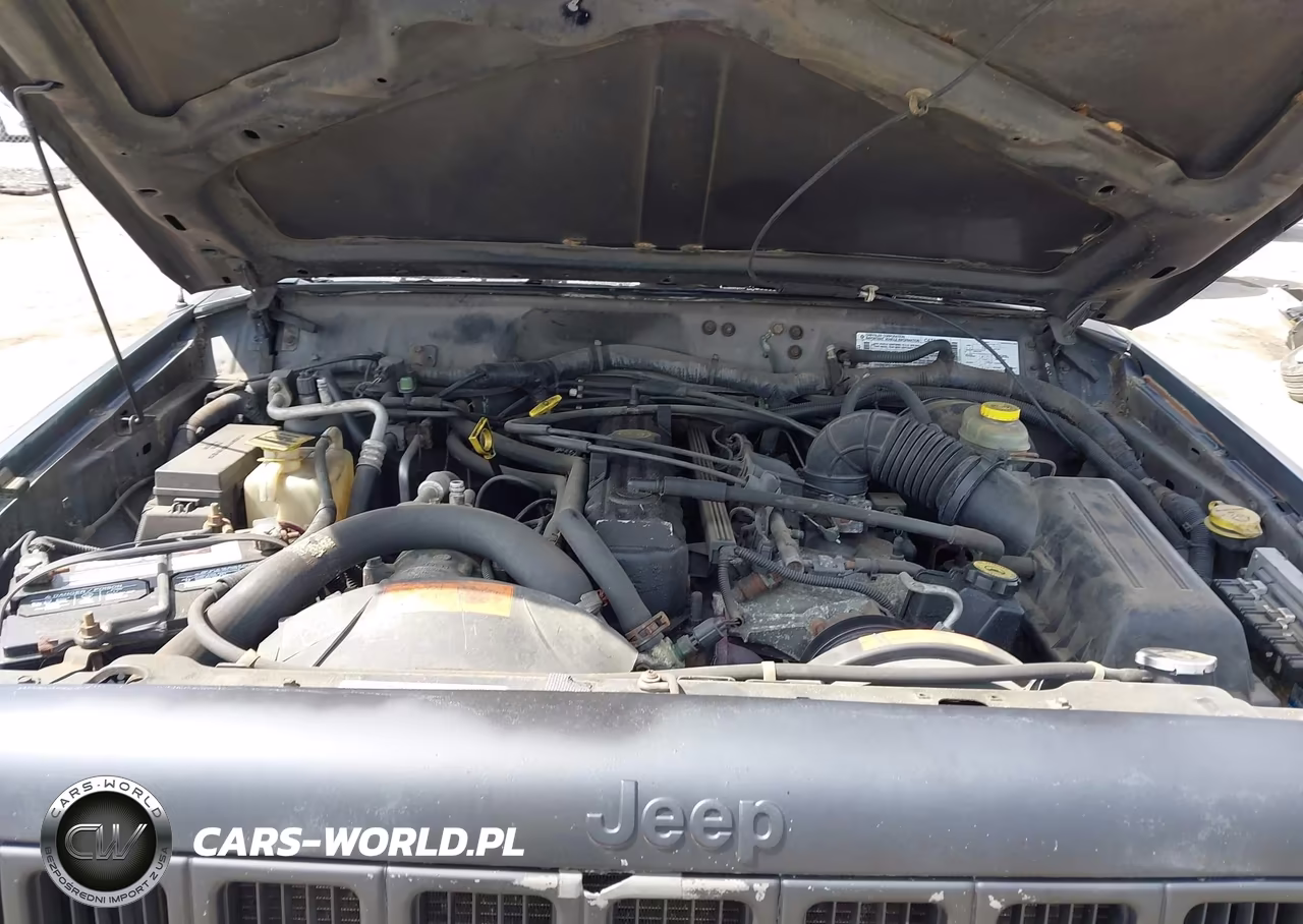 1998 Jeep Cherokee Se VIN:1J4FJ28S9WL104450 - 10