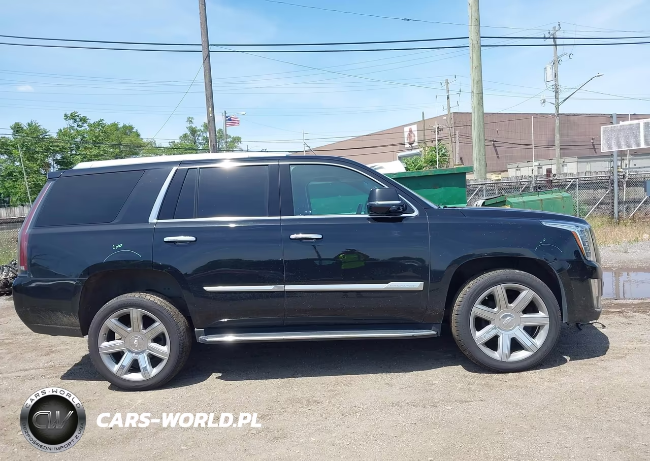 2020 Cadillac Escalade 4Wd Luxury VIN:1GYS4BKJ1LR301787 - 13