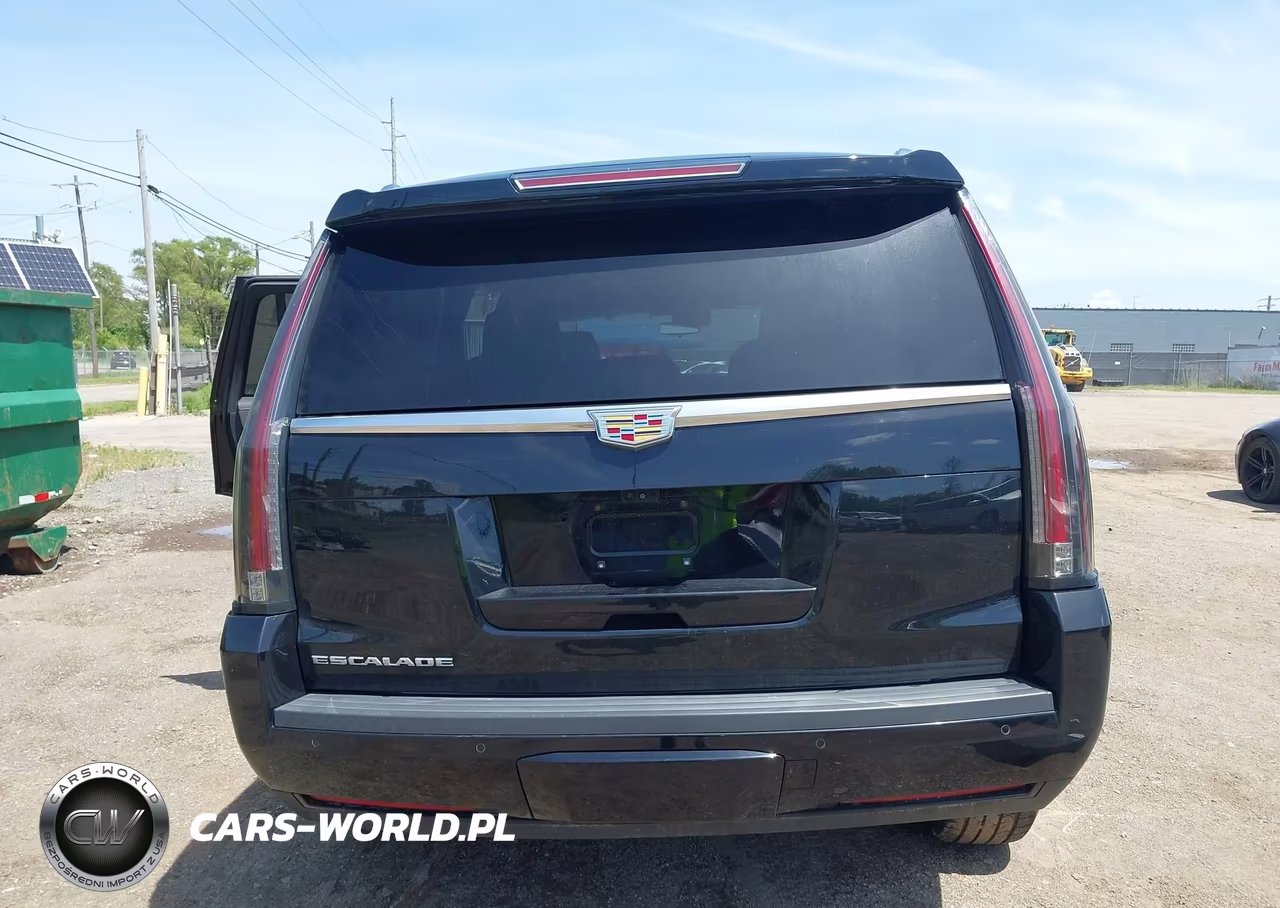 2020 Cadillac Escalade 4Wd Luxury VIN:1GYS4BKJ1LR301787 - 16