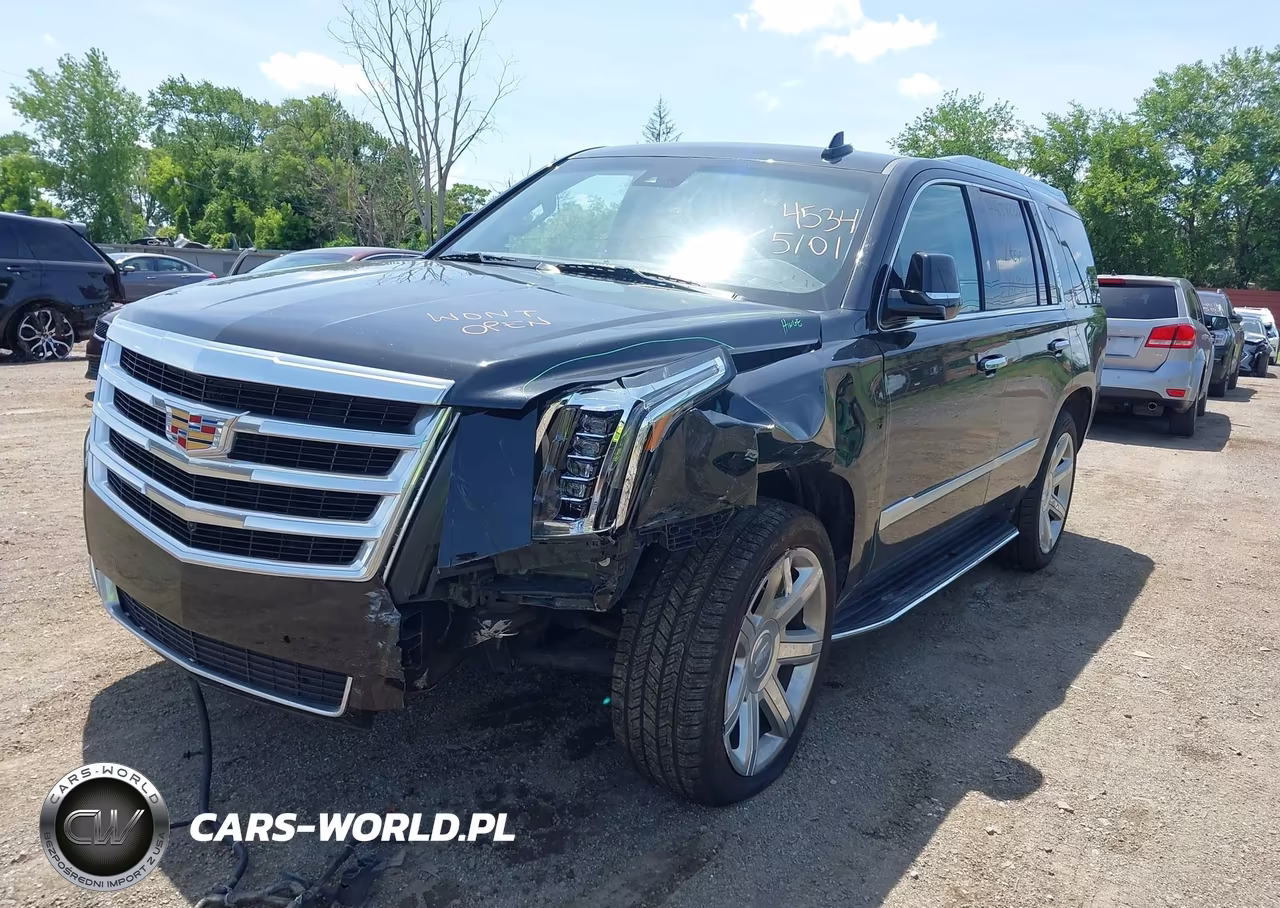 2020 Cadillac Escalade 4Wd Luxury VIN:1GYS4BKJ1LR301787 - 2