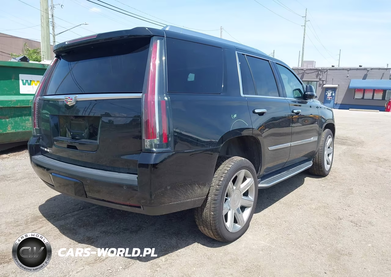 2020 Cadillac Escalade 4Wd Luxury VIN:1GYS4BKJ1LR301787 - 4