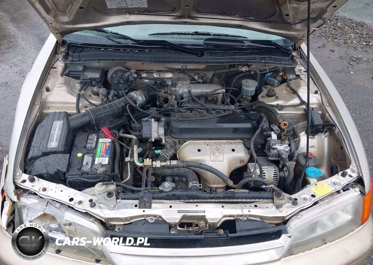 1995 Honda Accord Lx VIN:1HGCD7234SA009445 - 10