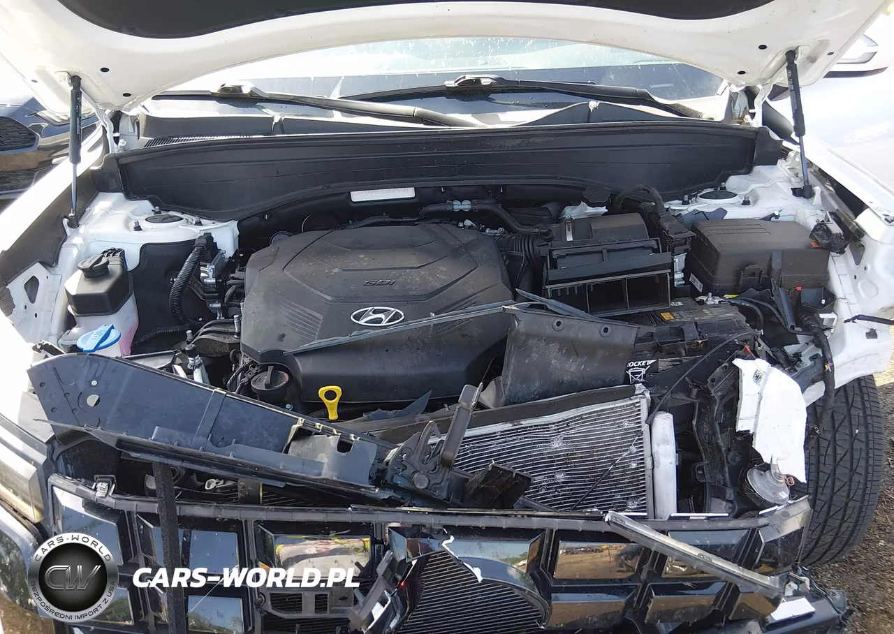 2025 Hyundai Palisade Sel VIN:KM8R2DGE6SU874189 - 10
