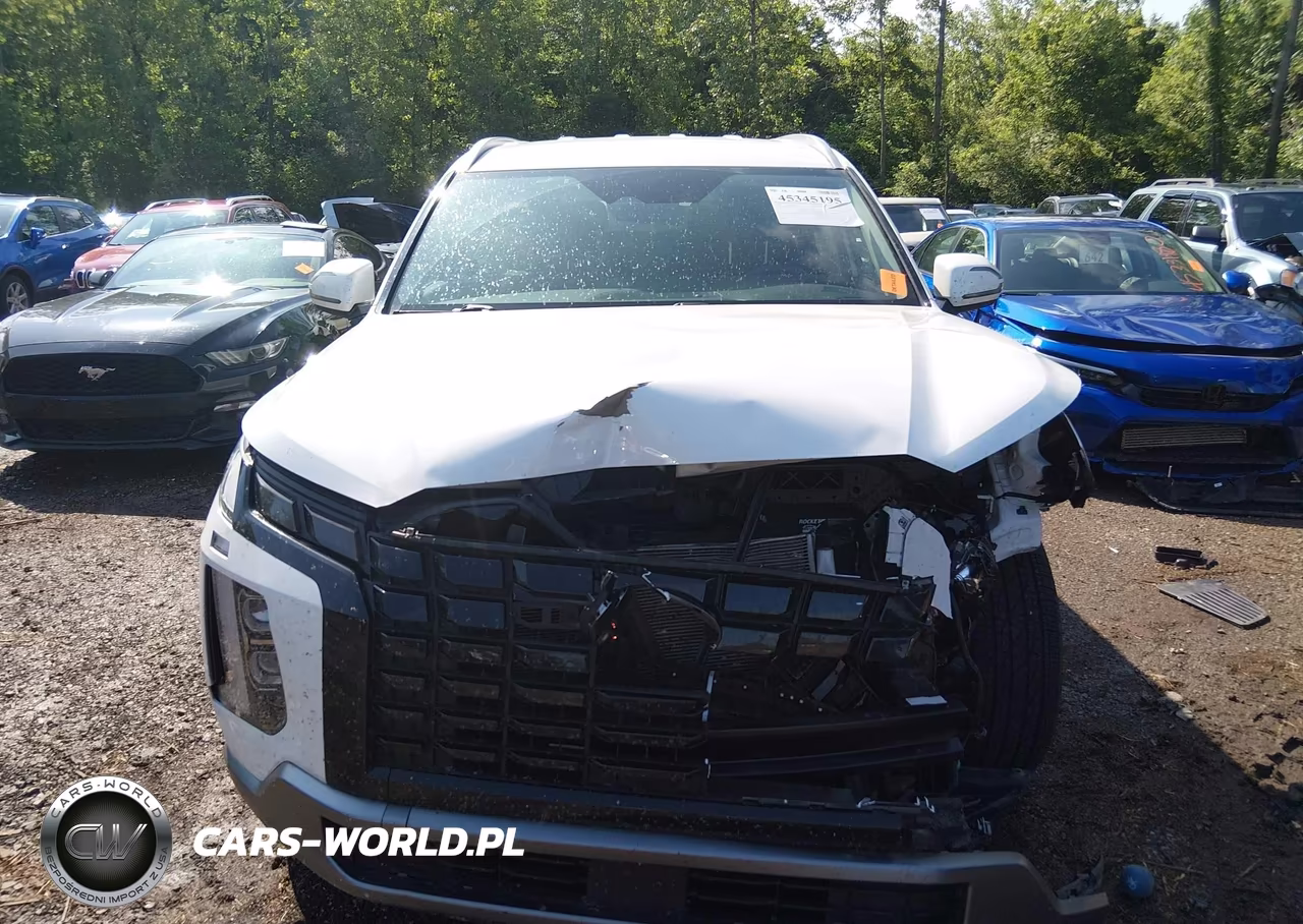 2025 Hyundai Palisade Sel VIN:KM8R2DGE6SU874189 - 12