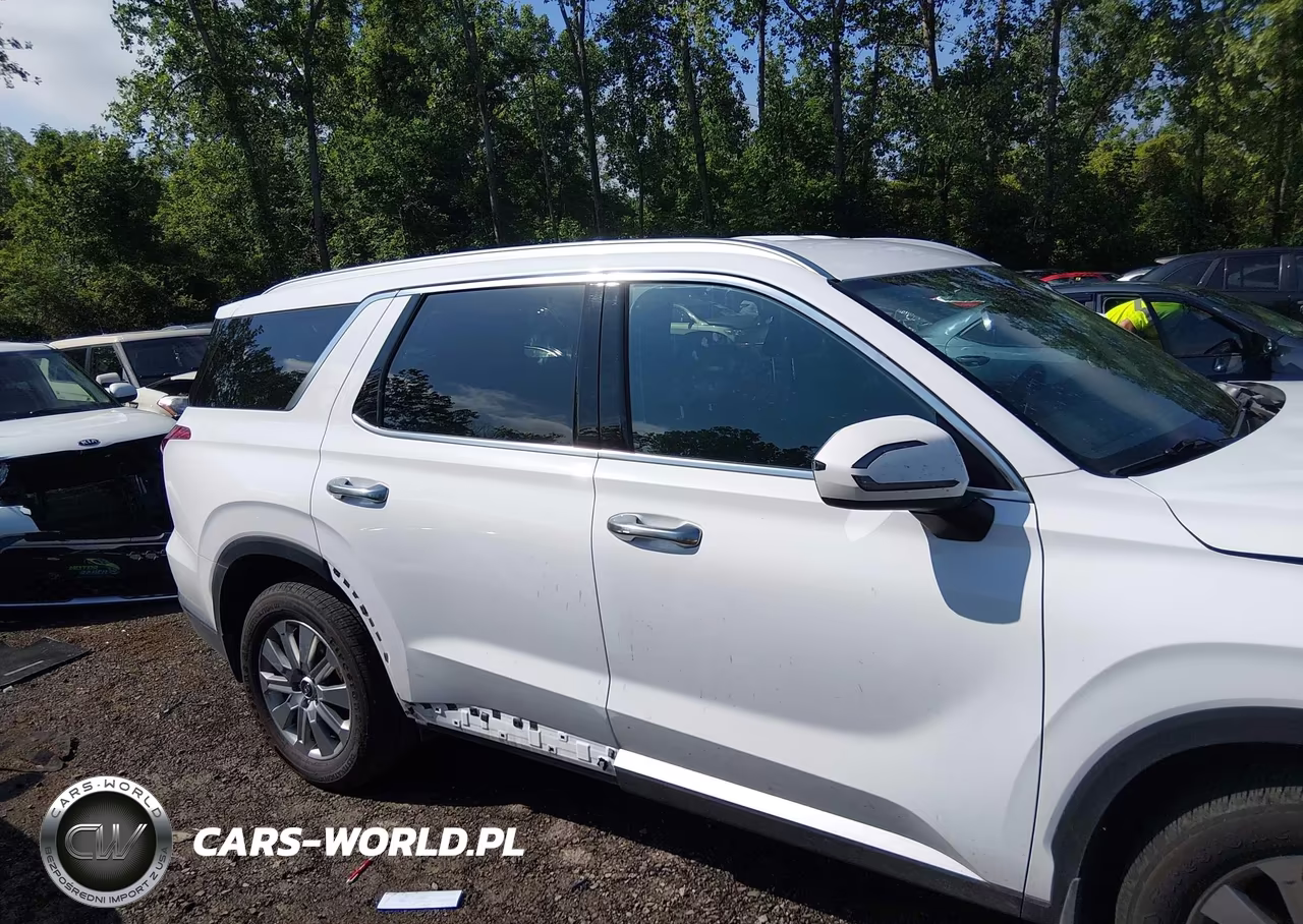 2025 Hyundai Palisade Sel VIN:KM8R2DGE6SU874189 - 13