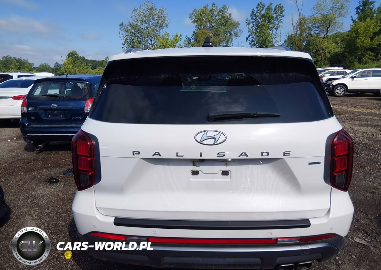 2025 Hyundai Palisade Sel VIN:KM8R2DGE6SU874189 - 16