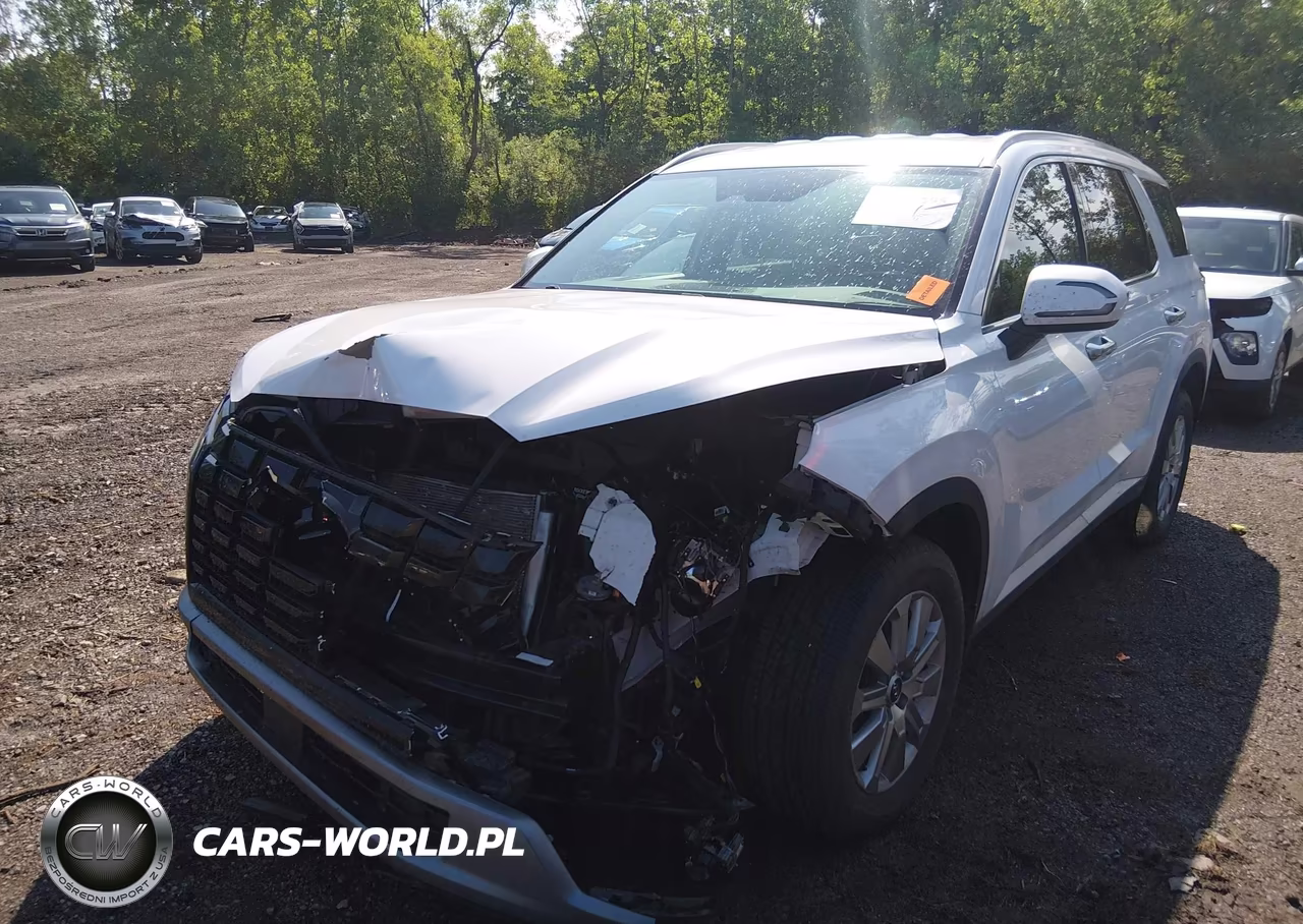 2025 Hyundai Palisade Sel VIN:KM8R2DGE6SU874189 - 2