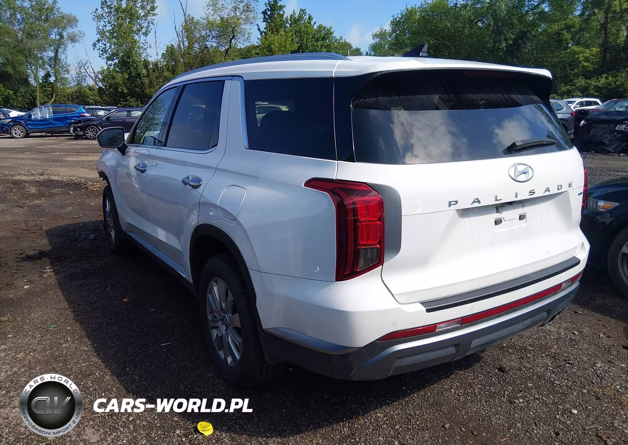 2025 Hyundai Palisade Sel VIN:KM8R2DGE6SU874189 - 3