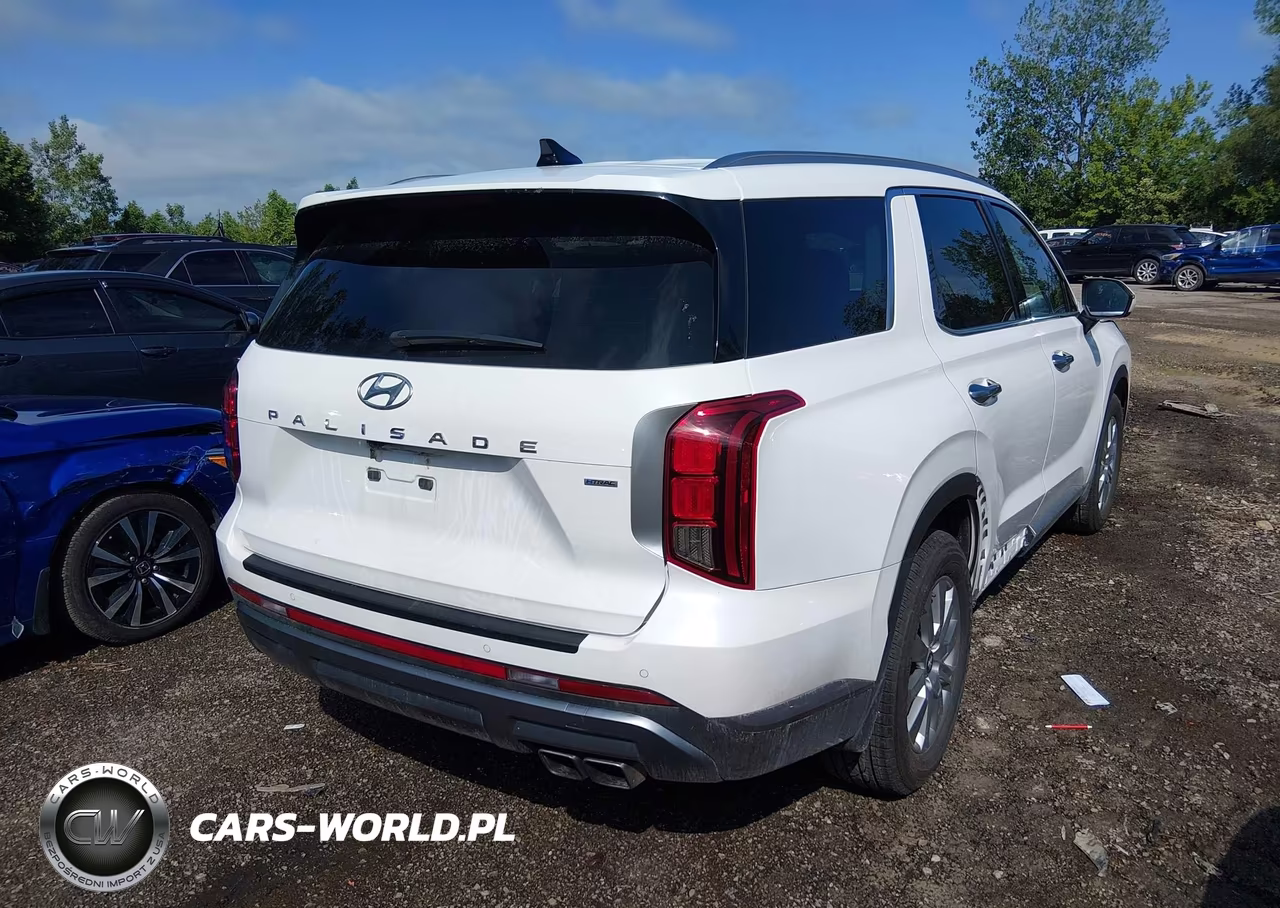 2025 Hyundai Palisade Sel VIN:KM8R2DGE6SU874189 - 4