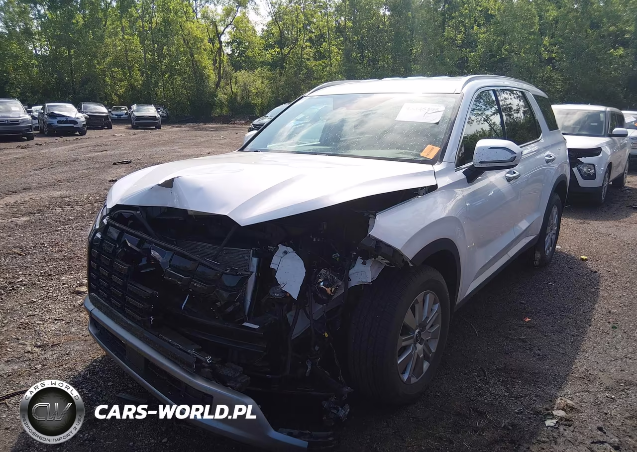 2025 Hyundai Palisade Sel VIN:KM8R2DGE6SU874189 - 6