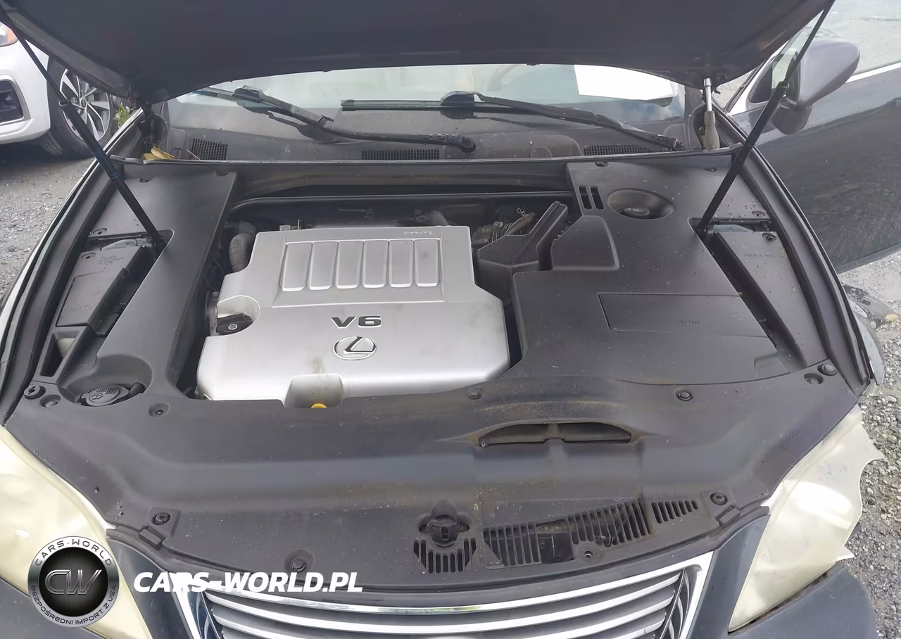 2009 Lexus Es 350 VIN:JTHBJ46G592338561 - 10