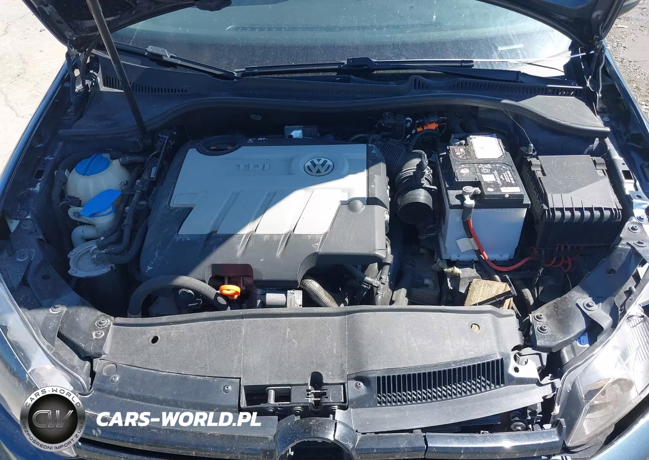 2012 Volkswagen Golf Tdi 4-Door VIN:WVWDM7AJ5CW117516 - 10