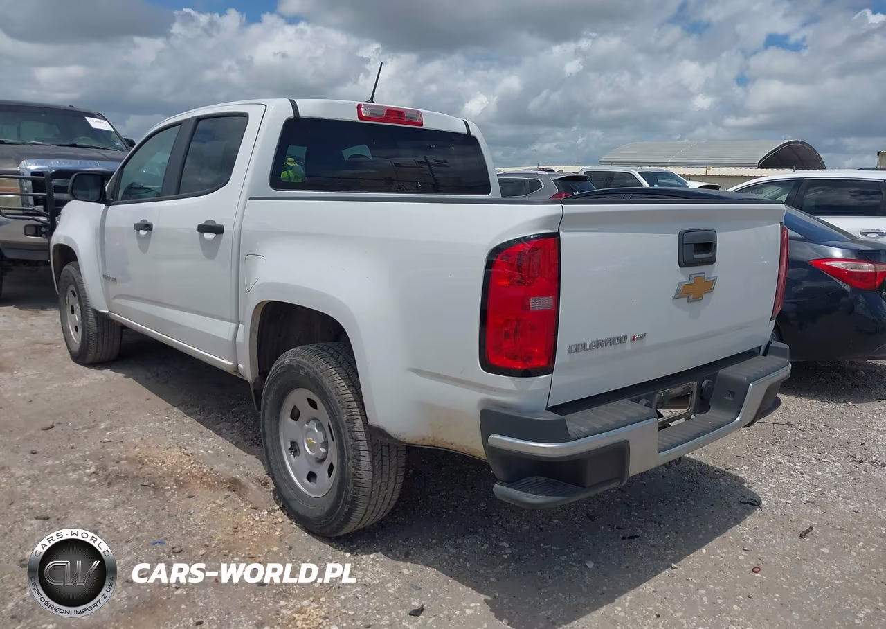 2019 Chevrolet Colorado Wt VIN:1GCGSBEN1K1360982 - 3