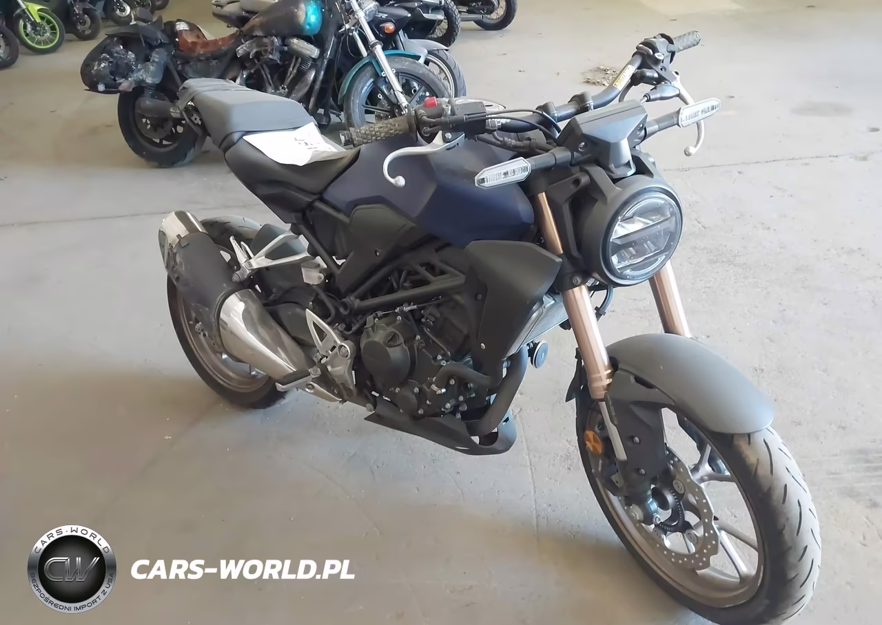 2020 Honda Cbf300 Na VIN:MLHNC5559L5000405 - 2