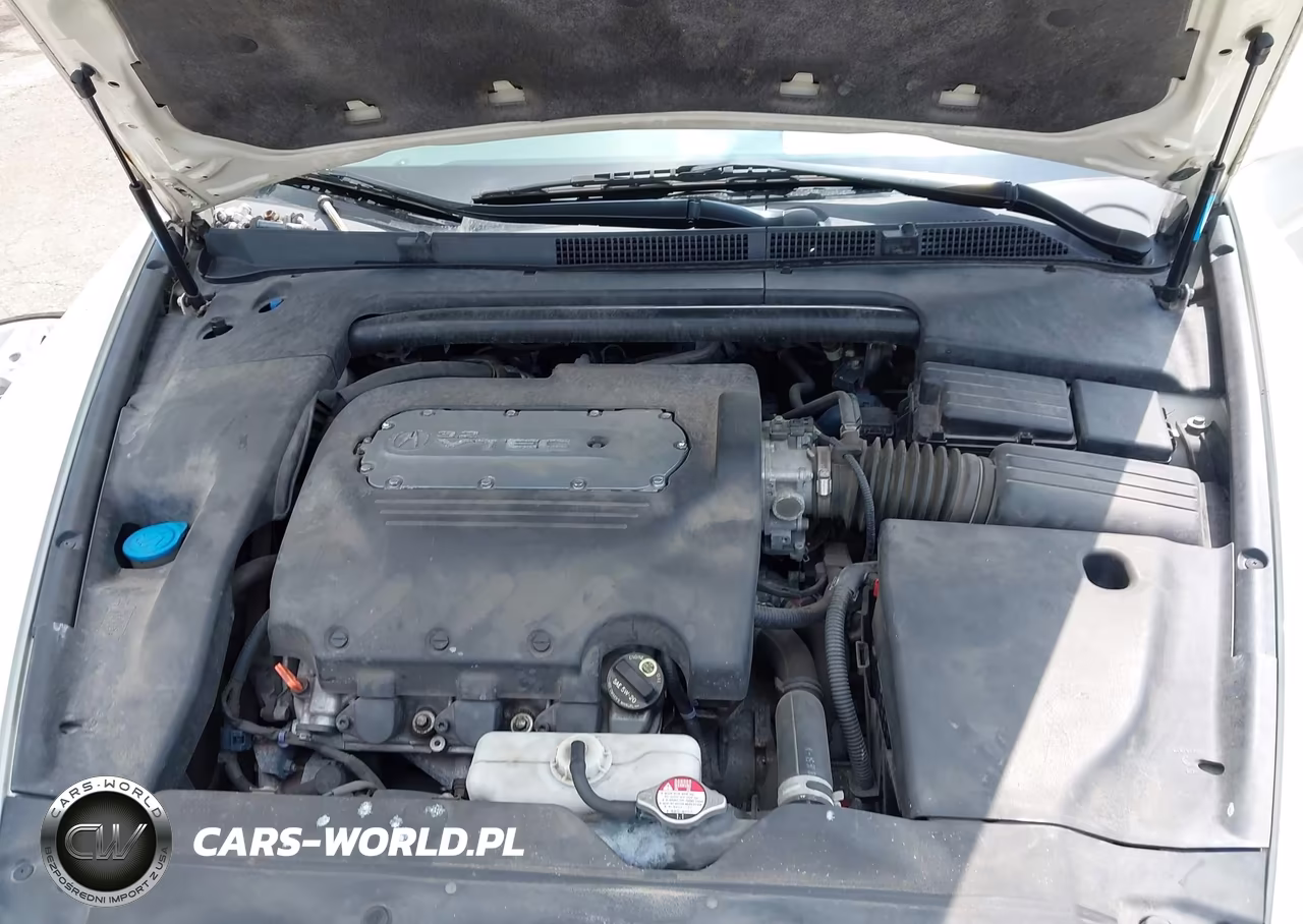 2005 Acura Tl VIN:19UUA66225A051366 - 10