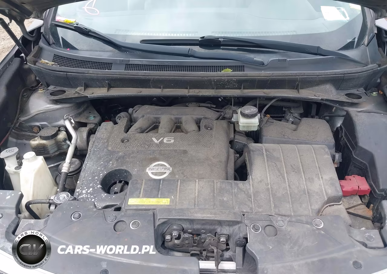 2014 Nissan Murano S-Sl-Sv-Le VIN:JN8A21MW7EW519750 - 10