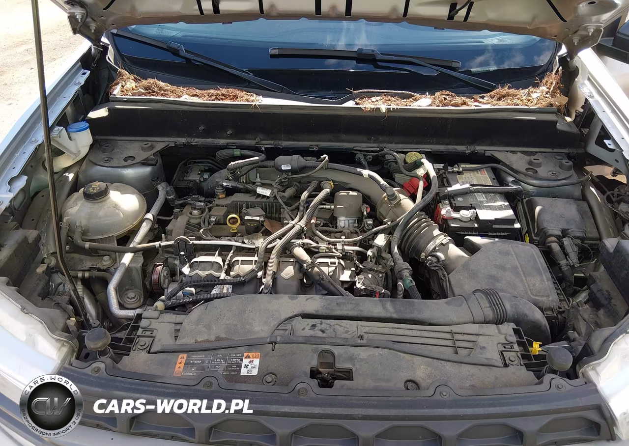 2022 Ford Maverick Xlt VIN:3FTTW8E98NRA13216 - 10
