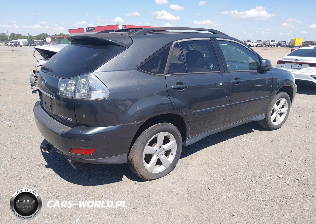 2004 Lexus Rx 330 VIN:JTJHA31U640051931 - 4