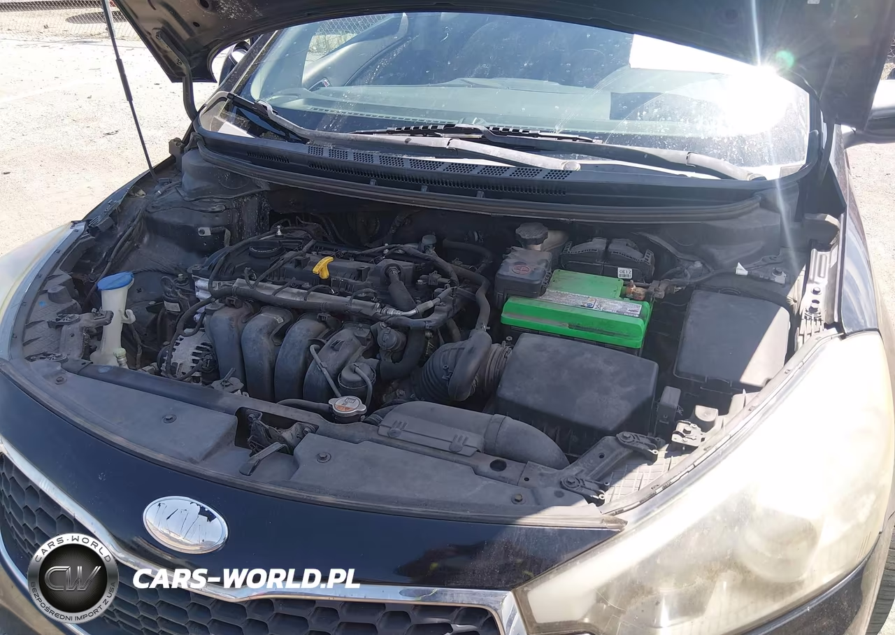 2014 Kia Forte Lx VIN:KNAFK4A69E5145463 - 10