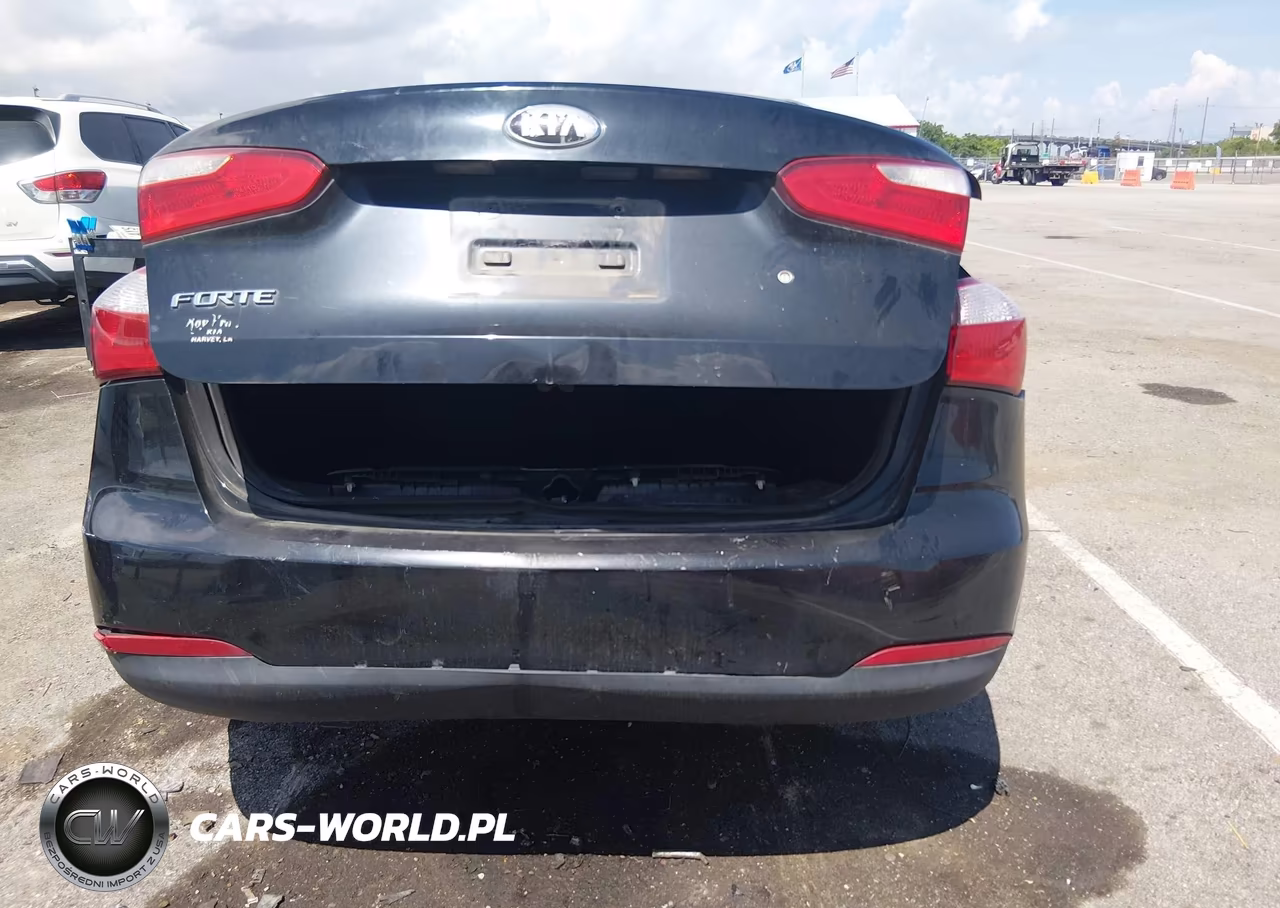 2014 Kia Forte Lx VIN:KNAFK4A69E5145463 - 12