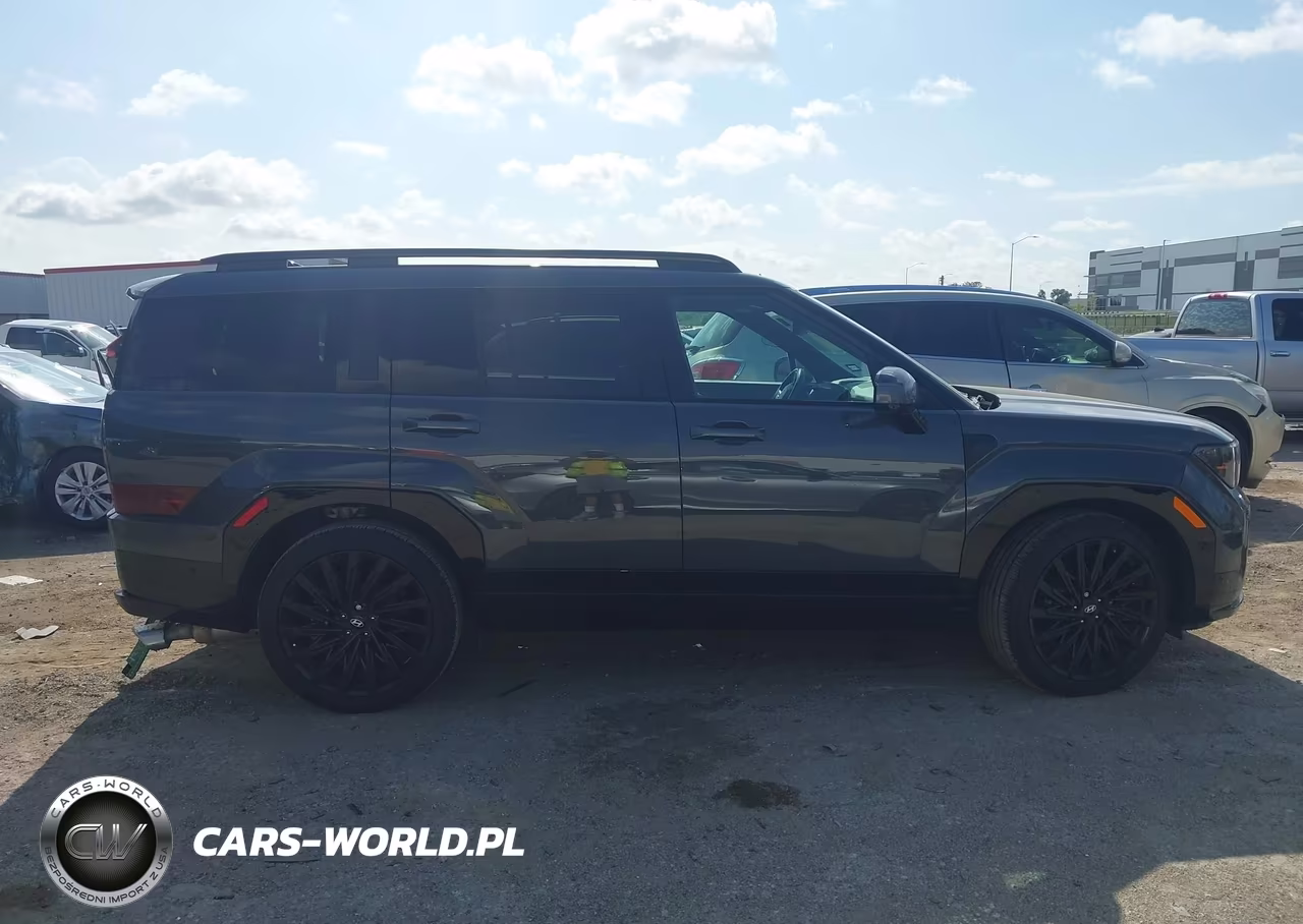 2024 Hyundai Santa Fe Calligraphy VIN:5NMP54GL8RH065330 - 13