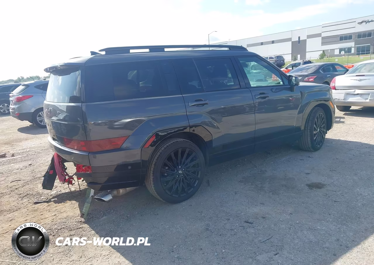 2024 Hyundai Santa Fe Calligraphy VIN:5NMP54GL8RH065330 - 4