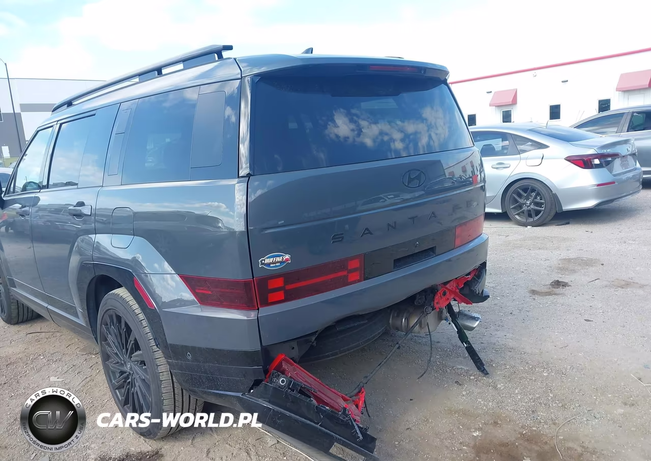 2024 Hyundai Santa Fe Calligraphy VIN:5NMP54GL8RH065330 - 6