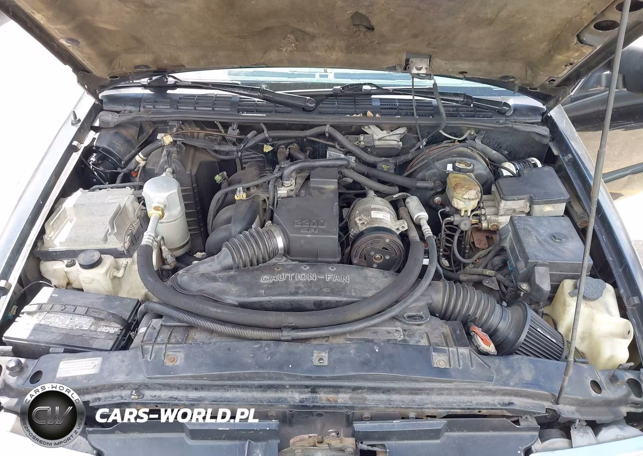 1998 Chevrolet S-10 Fleetside VIN:1GCCS1445W8246904 - 10