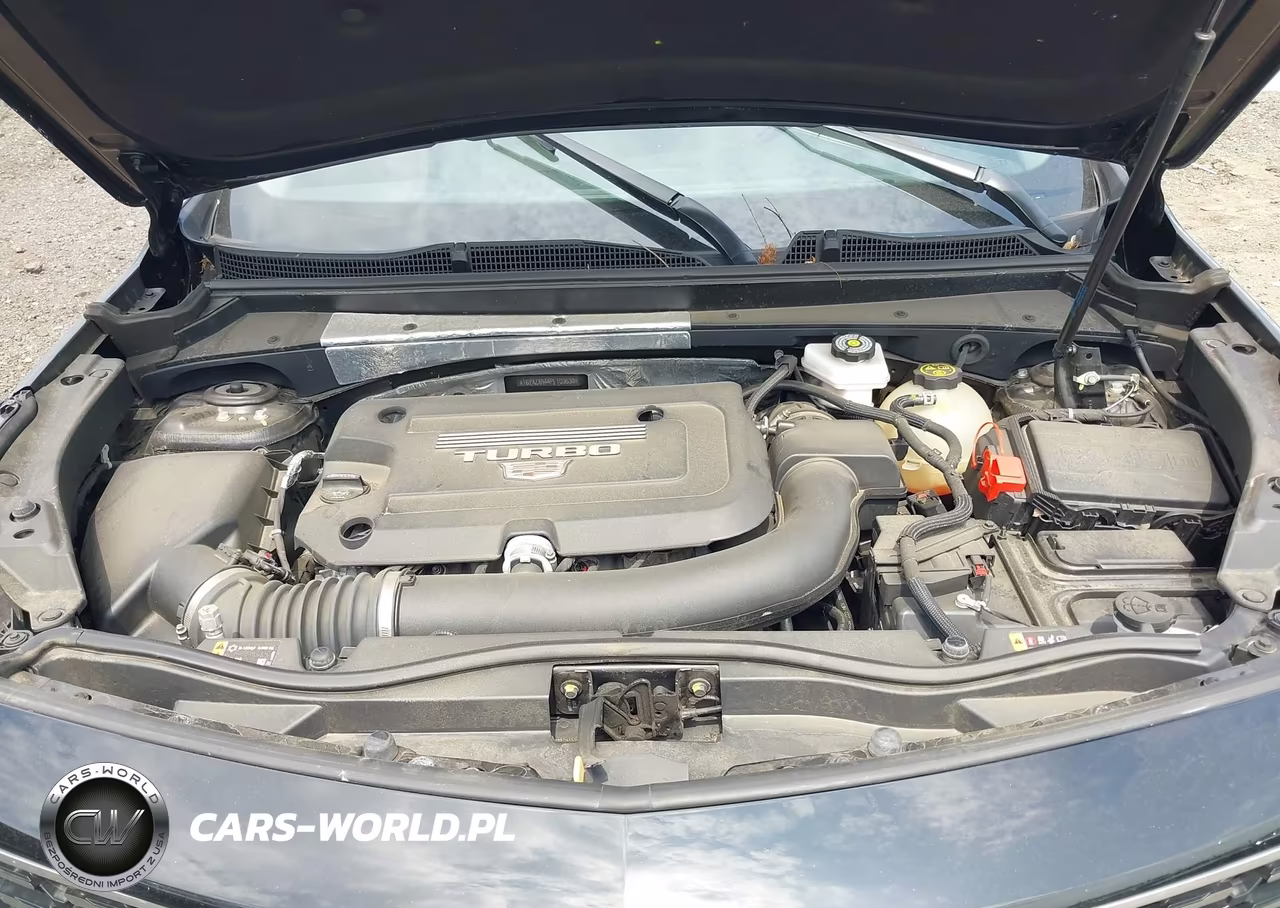 2023 Cadillac Xt4 Fwd Luxury VIN:1GYAZAR44PF103638 - 10