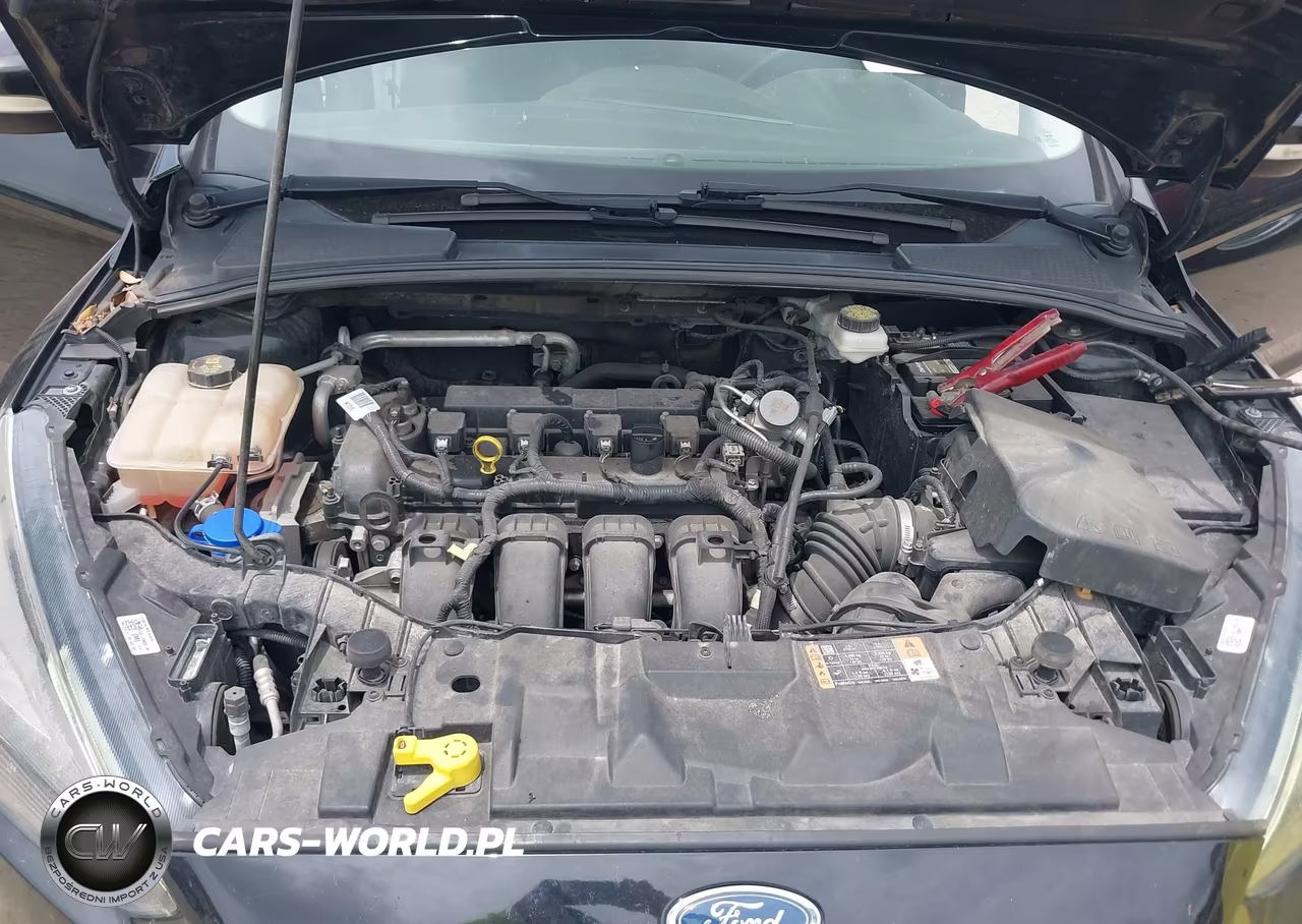 2017 Ford Focus Sel VIN:1FADP3M23HL307947 - 10