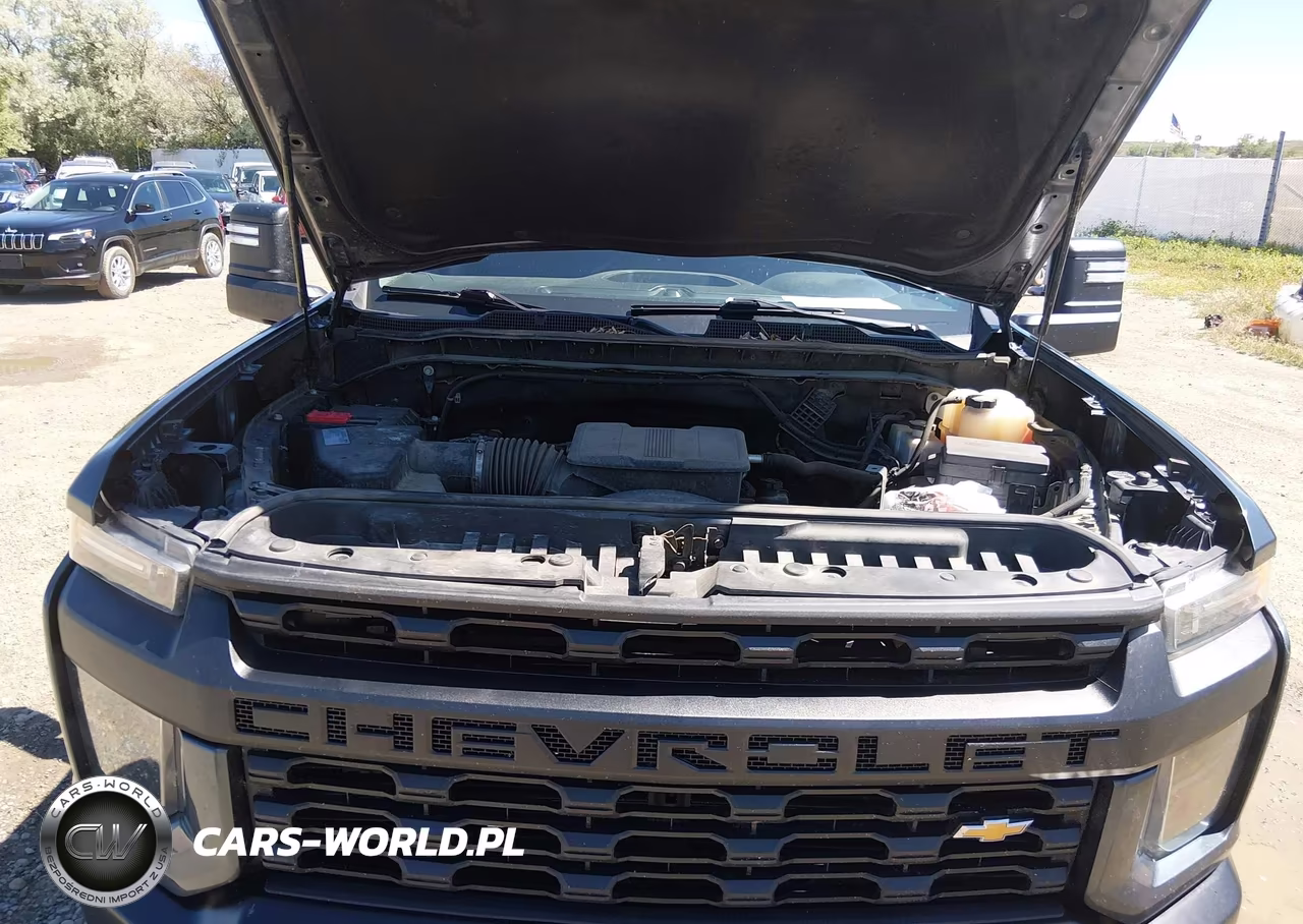 2020 Chevrolet Silverado 2500Hd 4Wd Long Bed Wt VIN:1GC5YLE70LF307675 - 10
