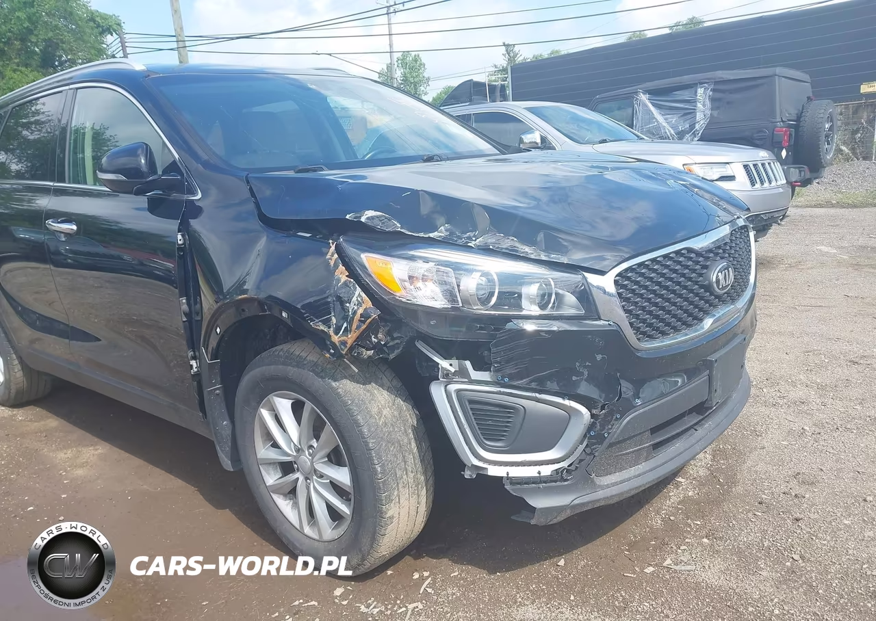 2016 Kia Sorento 2.4L Lx VIN:5XYPG4A39GG079909 - 12