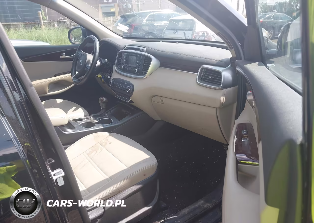 2016 Kia Sorento 2.4L Lx VIN:5XYPG4A39GG079909 - 5