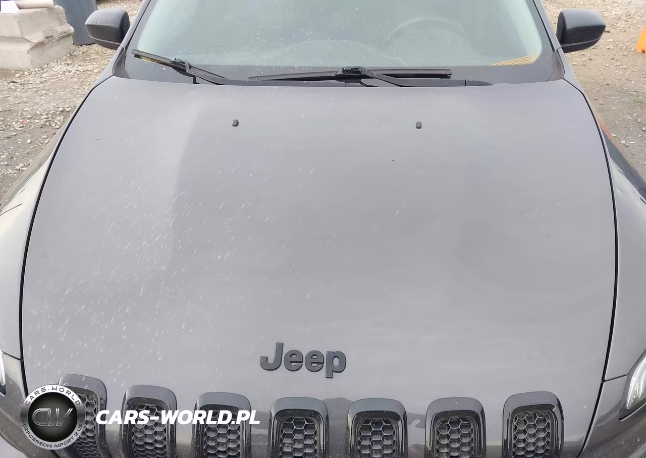 2016 Jeep Cherokee Altitude VIN:1C4PJLAS0GW315336 - 17