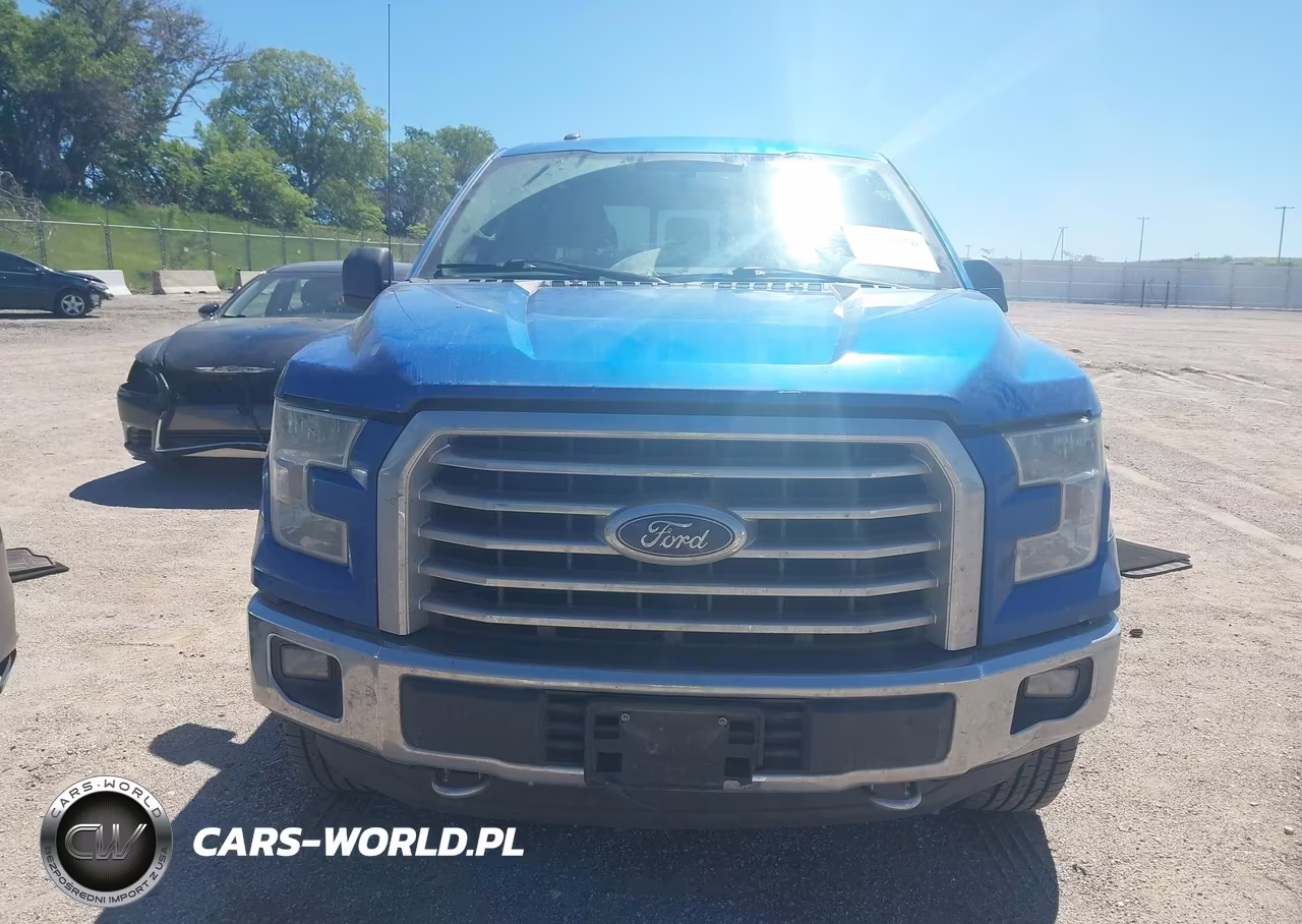 2015 Ford F-150 Xlt VIN:1FTEW1EF7FKD79163 - 12
