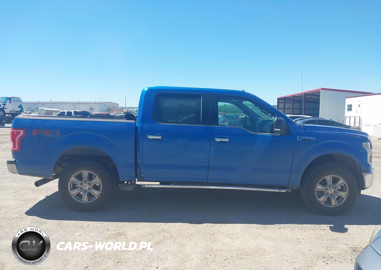 2015 Ford F-150 Xlt VIN:1FTEW1EF7FKD79163 - 13