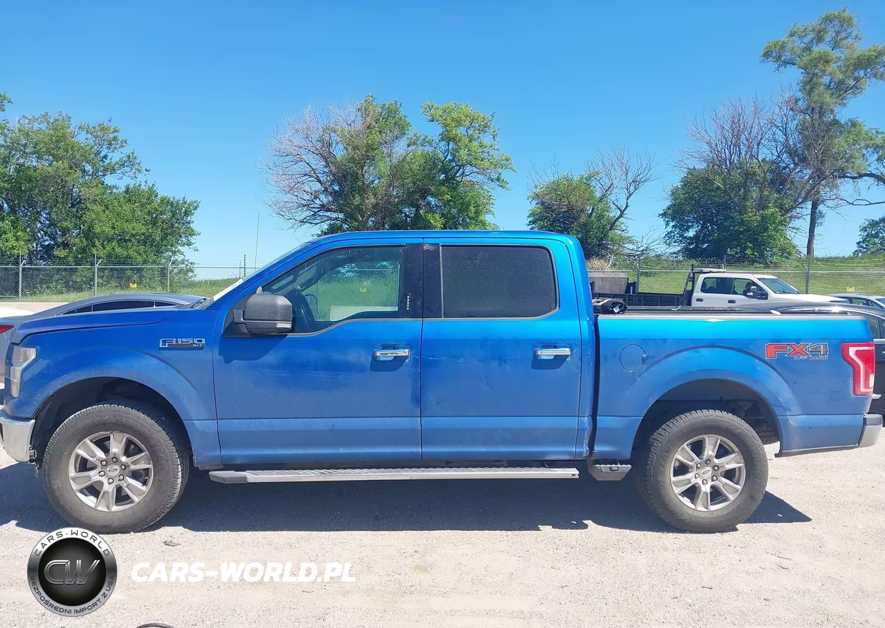 2015 Ford F-150 Xlt VIN:1FTEW1EF7FKD79163 - 14