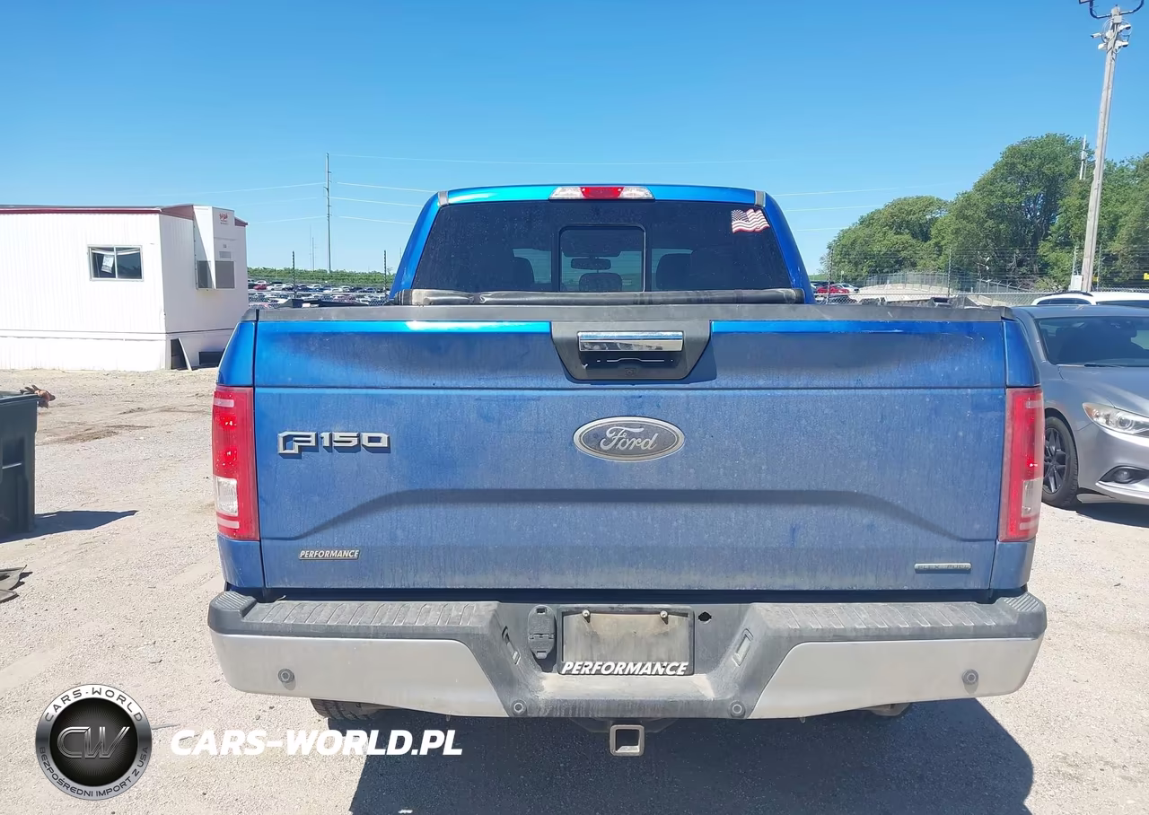 2015 Ford F-150 Xlt VIN:1FTEW1EF7FKD79163 - 16