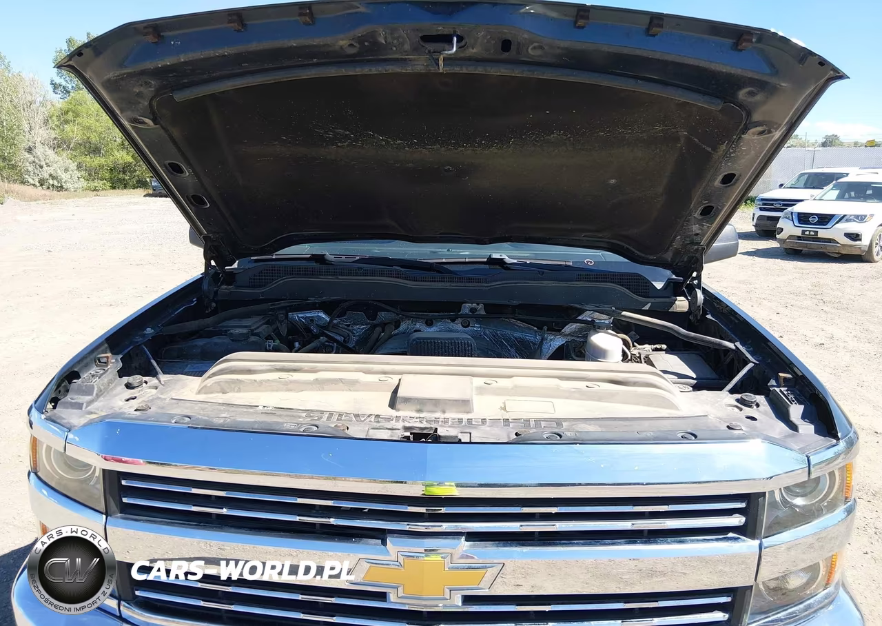 2017 Chevrolet Silverado 2500Hd Wt VIN:1GC2KUEG5HZ310927 - 10